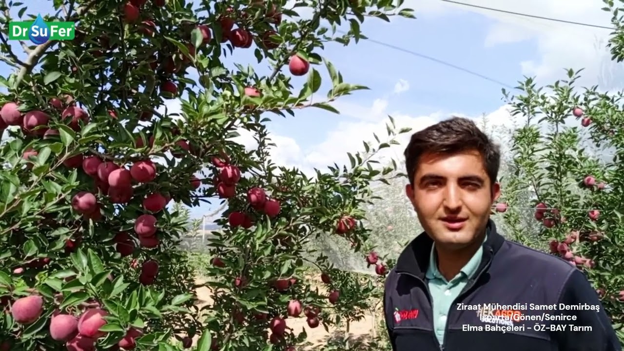 Ziraat Mühendisi Samet Demirbaş - Isparta /Gönen/Senirce - Elma Bahçeleri - ÖZ-BAY Tarım​