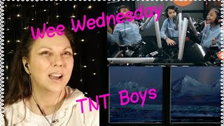 TNT BOYS REACTION (Together We Fly)