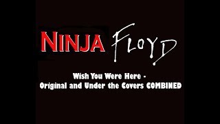 Video thumbnail of "Wish You Were Here - Pink Floyd and Ninja Sex Party cover combined"