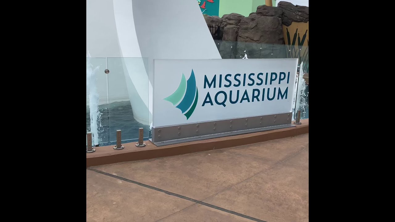 🐬🐟🐠🐡 Quick trip to the Mississippi Aquarium 2021 Gulfport MS YouTube