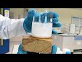 Chemical Reactions Unveiled Through Endothermic and Exothermic Experiments