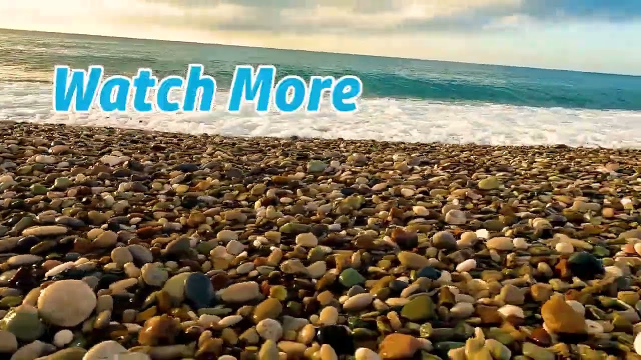 virtual walk early morning in beach 🏝