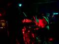 bison live