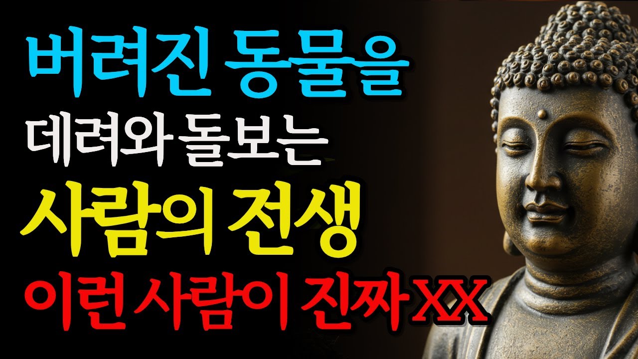 버려진 동물을 평생 돌보는 사람의 소름돋는 전생 | 이런 사람이 진짜 보살 | 부처님지혜 | 전생업보 | 인연 | 오디오북