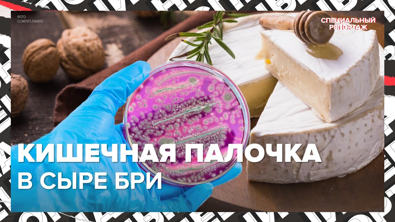 ОТРАВЛЕНИЕ СЫРОМ БРИ? | На что обратить внимание при покупке | Специальный репортаж