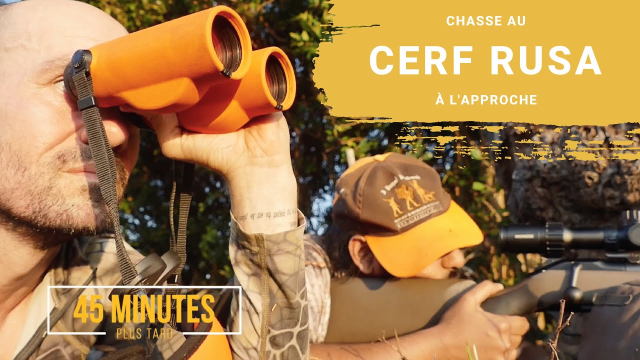 Rusa deer hunt in Mauritius