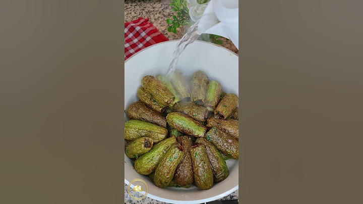 أطيب شيخ محشي بالطريقة الحلبية ممكن تعملوه😍 #شيخ_المحشي #محشي #كوسا_باللبن #كوسا_محشي #كوسا