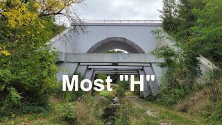 Most 