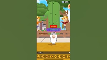 Phần 1 | Săn cây xương rồng đột biến #playtogether #conmeohsang #hoangsangday