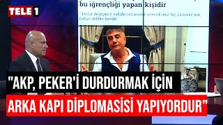 Turhan Çömez: Sedat Peker, Erdoğan’a yaklaştı