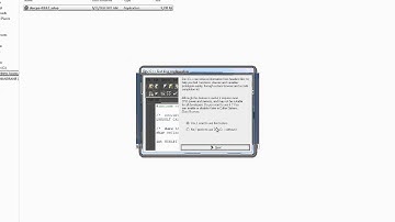 Bloodshed installation