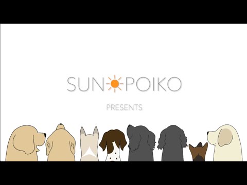アルバム『犬のうた』全曲紹介／SUN POIKO　サンポイコ