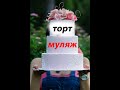 Готовим торт муляж для фотосессий, который хорошо стоит на жаре / Cake