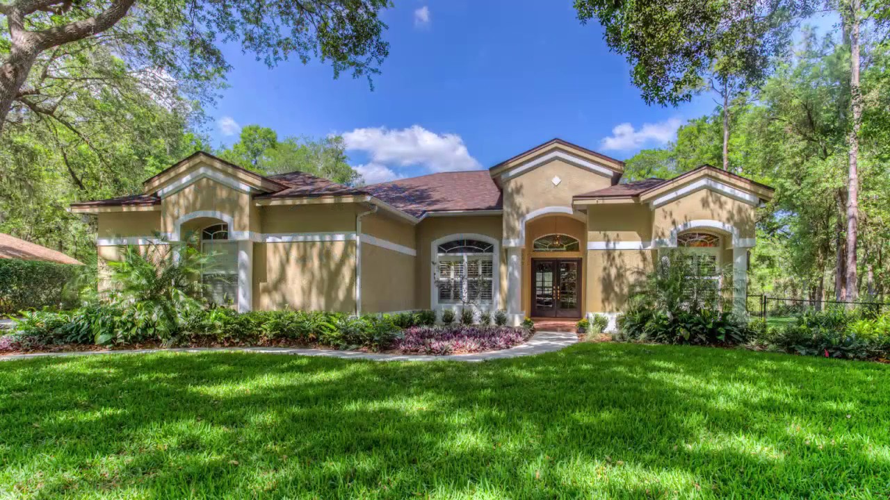 Fish Hawk Trails Homes For Sale YouTube