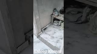 tiles lagane ka tarika tiles ka combo#tileshopgameplay #tiles