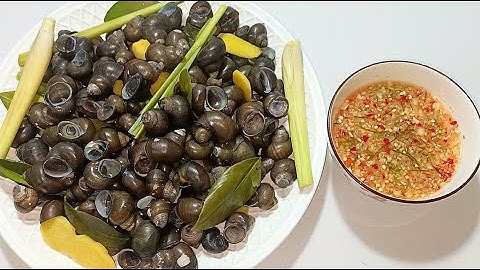 Cách luộc ốc đắng sạch và cách pha nước chấm ốc sánh kẹo thơm ngon - Bếp Nhà Hoàng