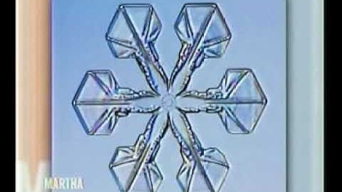 Kenneth Libbrecht on the Martha Stewart Show 2007