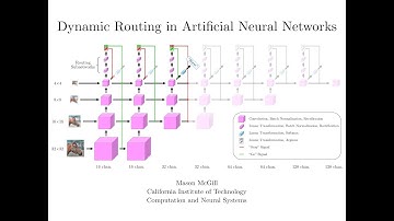 Dynamic Routing in Artificial Neural Networks (Video Abstract)