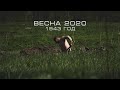 "100 метров от дома" Весна 2020 | Раскопки по войне | 1943 | EE88