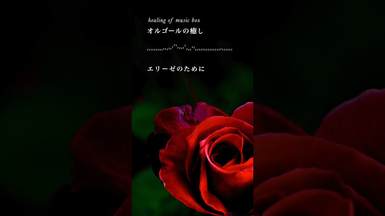 癒しオルゴール名曲】「エリーゼのために」高音・キラキラ系【Relaxing
