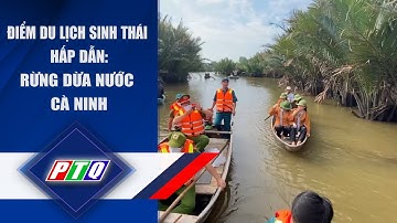 RỪNG DỪA NƯỚC CÀ NINH: ĐIỂM DU LỊCH SINH THÁI | PTQ