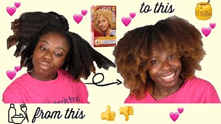 I Dyed My Hair Blonde | Creme of Nature Exotic Shine Color in Ginger Blonde | Natural Blonde