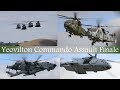 Commando Assault Demo | Yeovilton Air Day 2019