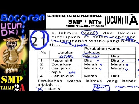 Perubahan Warna Lakmus Yang Benar Adalah Sketsa Perubahan Warna Lakmus Yang Benar Adalah Sketsa