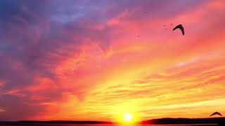 Fahd Ballan يوم على يوم Moatasem Playing