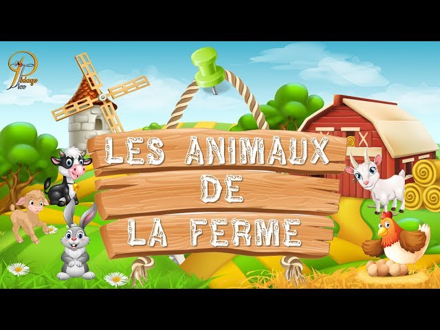 Animaux de la Ferme – LUDI