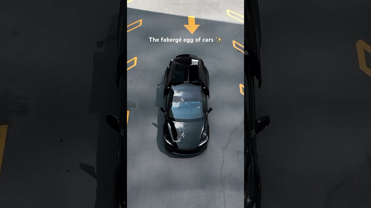 Model X Doors Open Close Automatically With A Tap