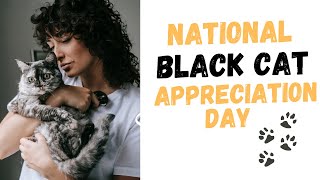 National Black Cat Appreciation Day – August 17, 2023