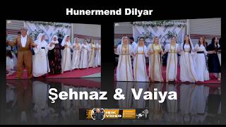 الفنان دليار أروع أغاني Şehnaz & Vaiya