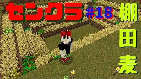 センクラ 18 棚田麦を作るんです そしてヤバいアレも発見 マインクラフトpe マイクラ日常生活 Mp3