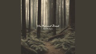 No Matter The Miles - The National Forest