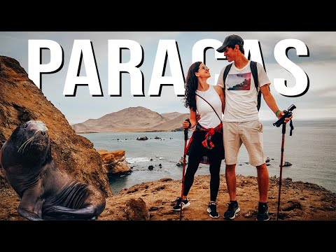 BEST Things To Do in Paracas, Peru | Islas Ballestas and Paracas National Reserve | 2023 Guide