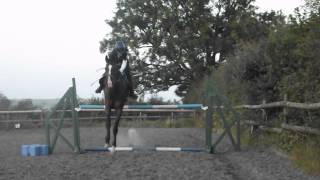 Lesson & Jumping upto 1m20/1m25ish at home.