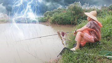 Câu cá trời mưa, cá chép vàng cuốn ổ! Heavy rain fishing