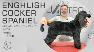 ENGLISH COCKER SPANIEL COMMERCIAL COMPLETE GROOMING PUPPY LINE (TRAILER)