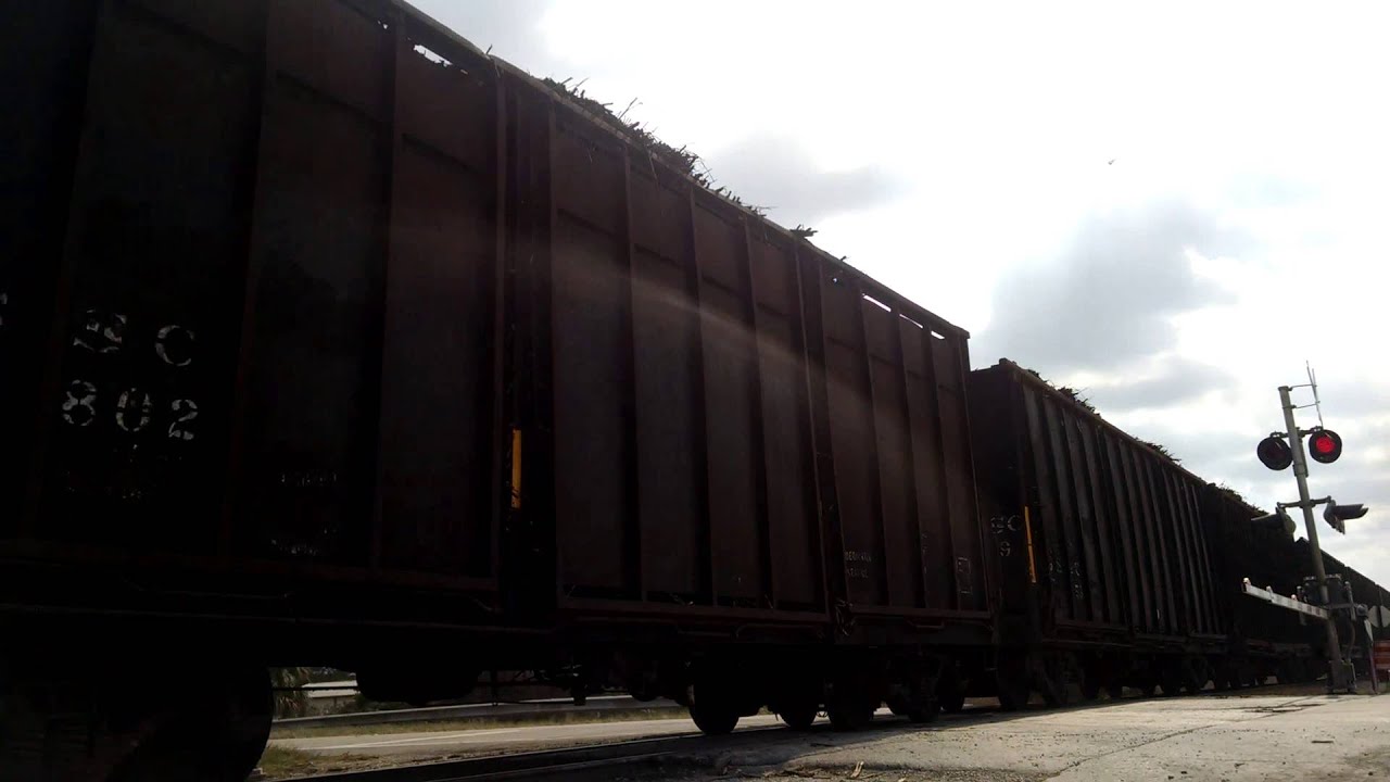US Sugar Corp. Sugar Train (Belle Glade, FL) YouTube