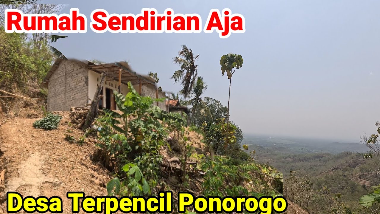 Rumah Sendirian di Desa Terpencil Ponorogo Barat 