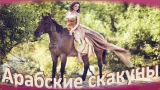 Арабские скакуны.  Величественная красота,выносливость и быстрота.(Арабские скакуны. Величественная красота,выносливость и быстрота. Арабские скакуны. Величественная красо..., 2016-10-18T07:25:01.000Z)