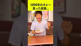 1000辛のカレーを食べた結果...