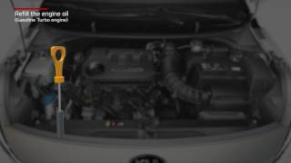 Rio - Refill the engine oil [Gasoline Turbo engine] (For EU)