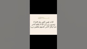 "لحظة ستجعل قلبك يخشع.. تلاوة نادرة #راحة_نفسية