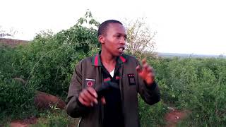 MOHORO MA HINAHI.... KK KAMAU WA KIMANI