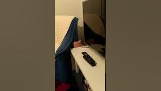 Jelena jeni divlja macka pesma je humoristicne prirode ali ipak nije za decu ispod 18godina