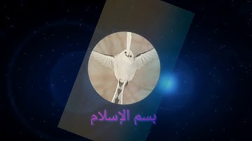 سورة البقرة من الأية 154 إلي الأية 157