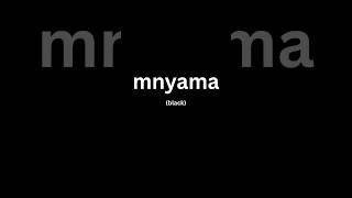 Mnyama is black. #learnxhosa #learnalanguage #language #languageforkids #xhosa #kidslearning