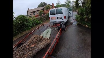 Picking up Elm Logs with the Log Trailer